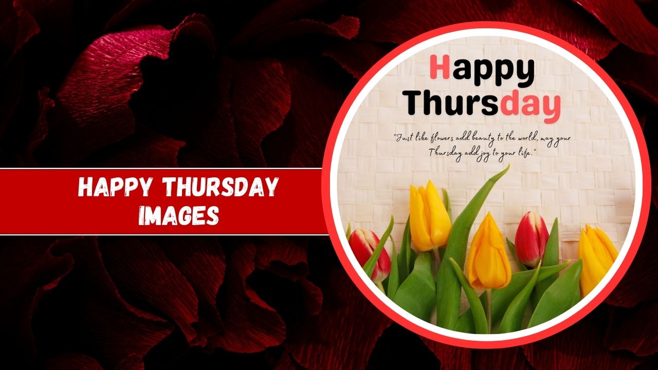 A graphic featuring "Happy Thursday Images" with vibrant yellow and orange tulips on one side, and a backdrop of deep red rose petals on the other.