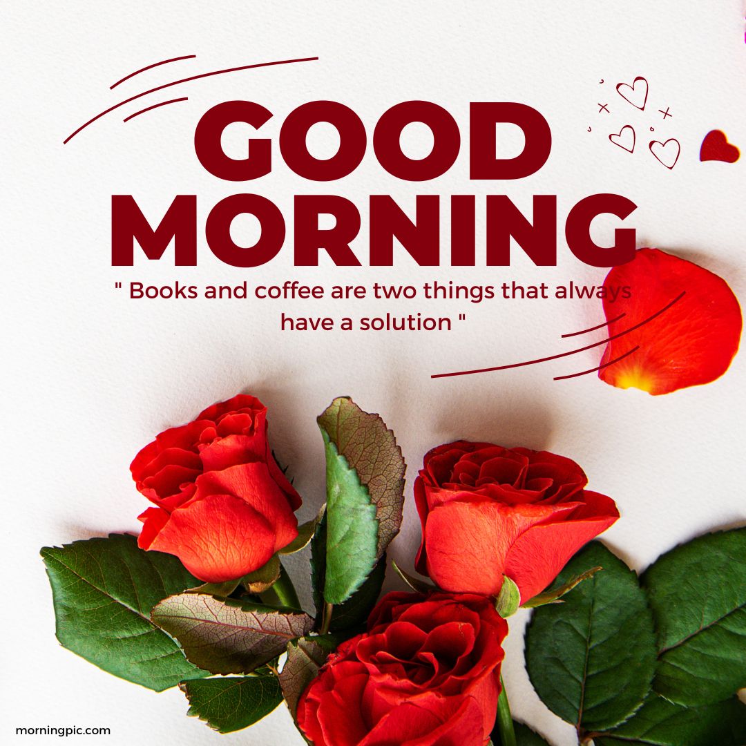 red roses good morning pics