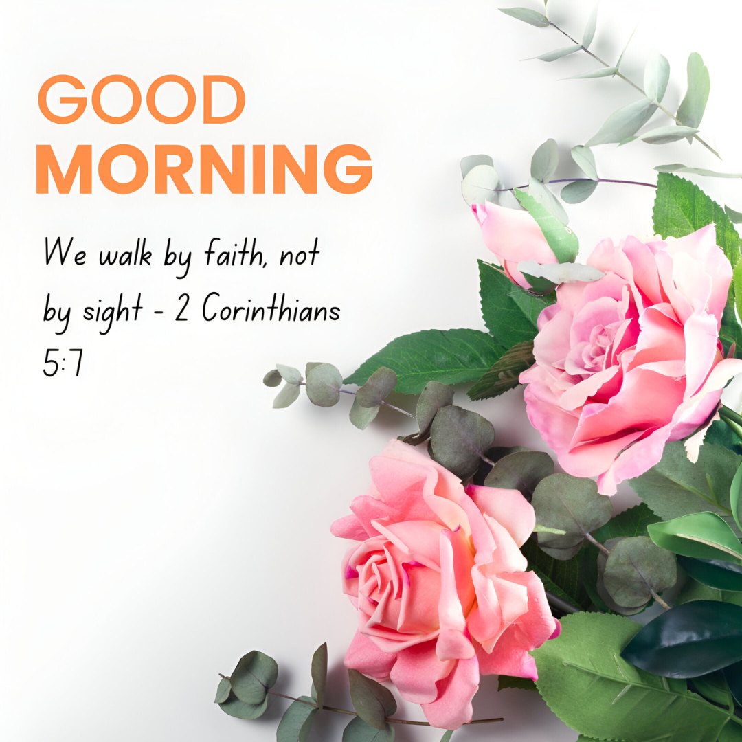 Good Morning message featuring 2 Corinthians 5:7 with elegant pink roses and eucalyptus leaves on a clean white background, representing Good Morning Bible Verses for Faith and Trust.