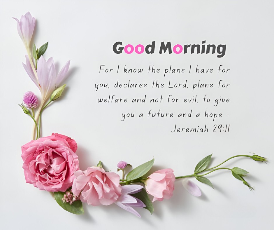 Good Morning message from Jeremiah 29:11 alongside a delicate arrangement of pink and purple flowers on a white background, symbolizing Good Morning Bible Verses for Peace and Comfort.