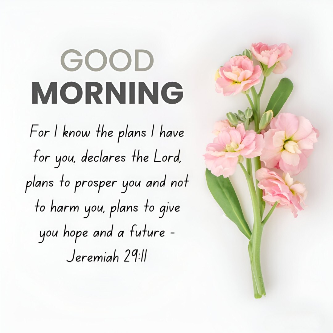 Good Morning message with Jeremiah 29:11 alongside soft pink flowers on a clean white background, symbolizing Good Morning Bible Verses for Renewal and Hope.