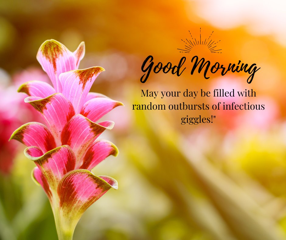 Good morning nature image featuring vibrant pink lilies with a soft focus on a bright, colorful background, accompanied by the cheerful message 'Good Morning - May your day be filled with random outbursts of infectious giggles!'