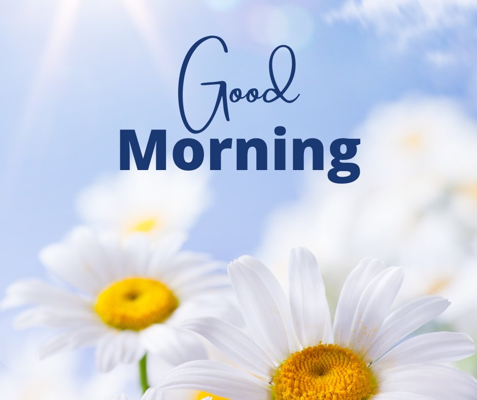 Good morning nature image with fresh white daisies under a clear blue sky, the flowers prominently displayed in full bloom with vibrant yellow centers, and elegant 'Good Morning' text overlay.