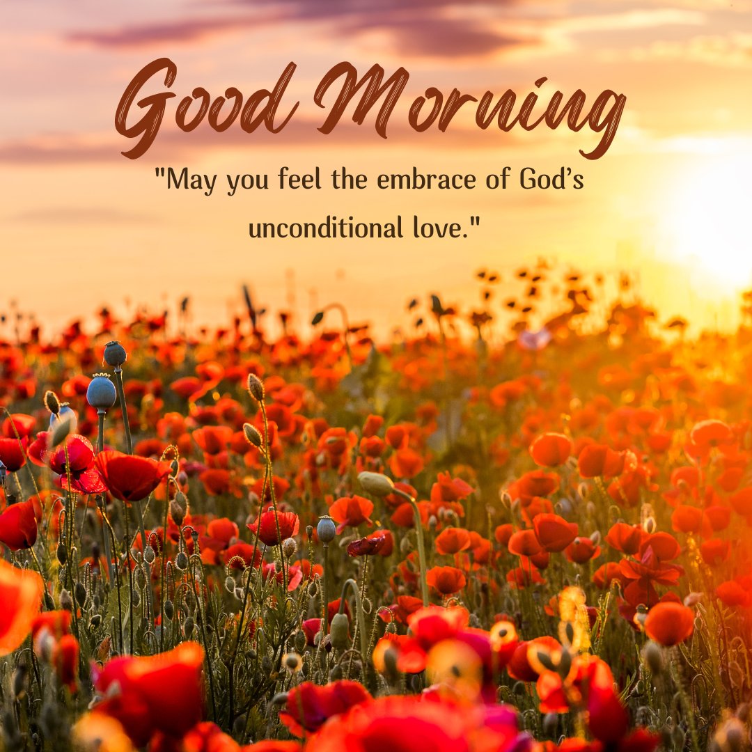 Good morning blessings image of a stunning sunrise over a field of vibrant red poppies, with a greeting 'Good Morning' and a quote about feeling the embrace of God’s unconditional love.