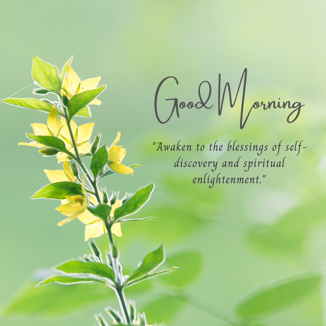 Good morning blessings image featuring vibrant yellow flowers in a lush green setting with a quote about self-discovery and spiritual enlightenment.