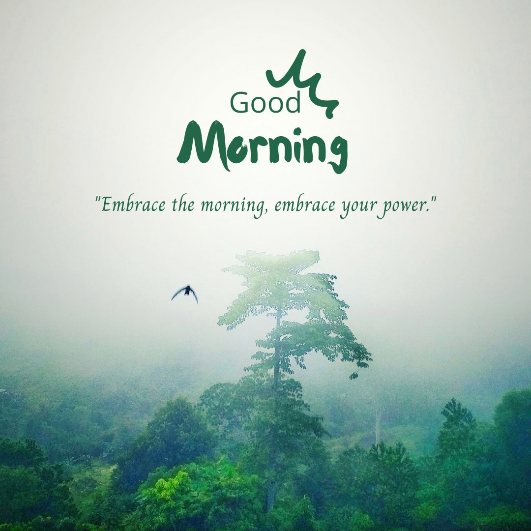 Good morning nature image of a misty forest landscape featuring a prominent tree in the fog, with the inspirational message 'Embrace the morning, embrace your power' in bold green text.