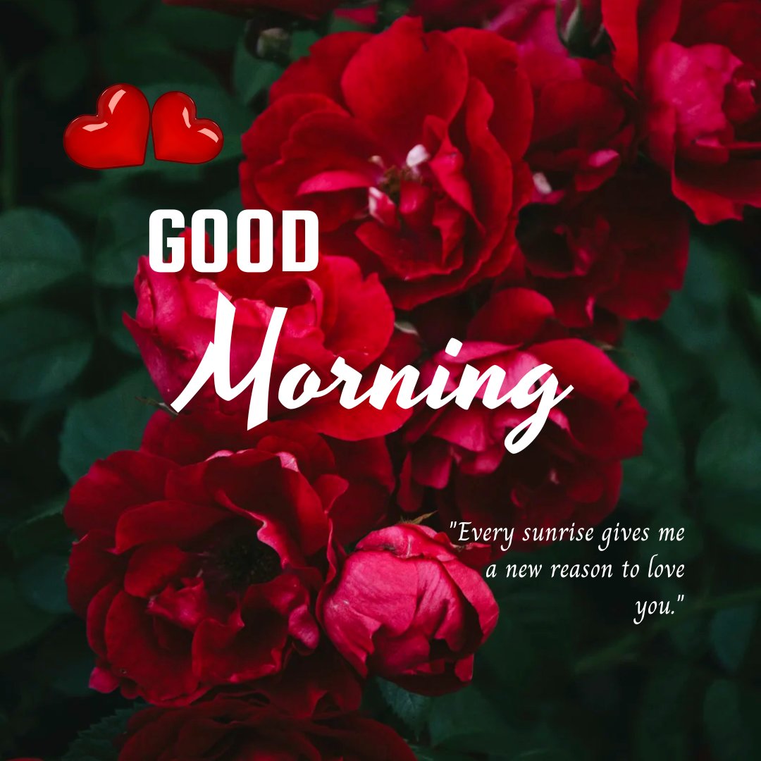 Good morning heart image with vibrant red roses, symbolizing love and passion, accompanied by a heartfelt quote that celebrates new beginnings and love.