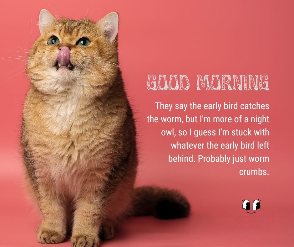 Funny Good Morning Jokes featuring a chubby orange cat looking upwards and licking its lips on a pink background, with a humorous caption about being a night owl and missing the early bird's worm.