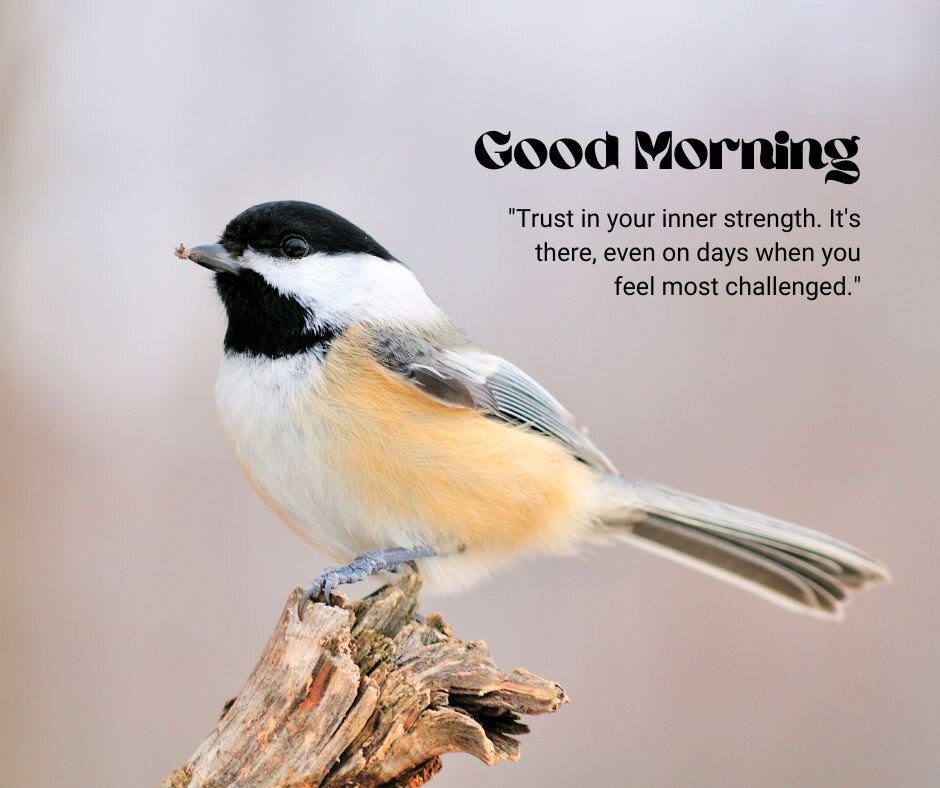 Good Morning Bird Image featuring a black-capped chickadee perched on a branch with a piece of food in its beak, accompanied by the text 'Good Morning' and an inspirational quote.