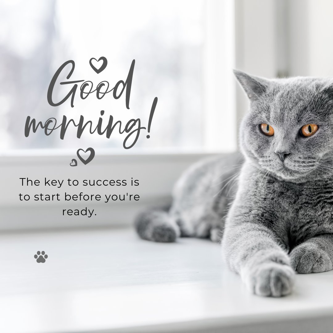 Good morning cat image featuring a serene British Shorthair cat with striking orange eyes lying on a white windowsill, accompanied by an inspirational message 'The key to success is to start before you're ready' and hearts around the text 'Good Morning!'