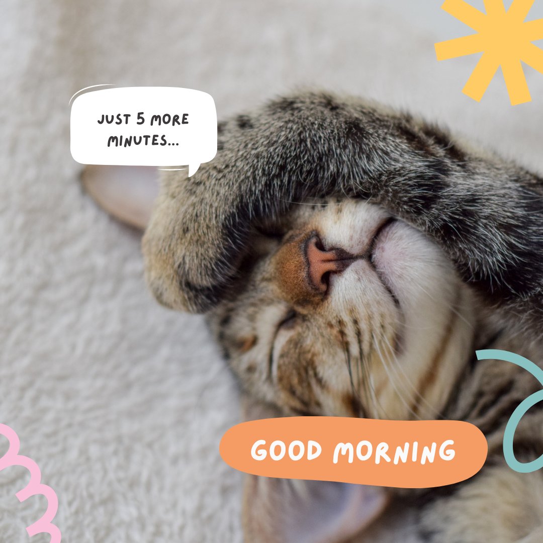 Good morning cat image showing a cozy tabby cat sleeping and covering its face with a paw, with a speech bubble saying 'Just 5 more minutes...' on a soft blanket background.