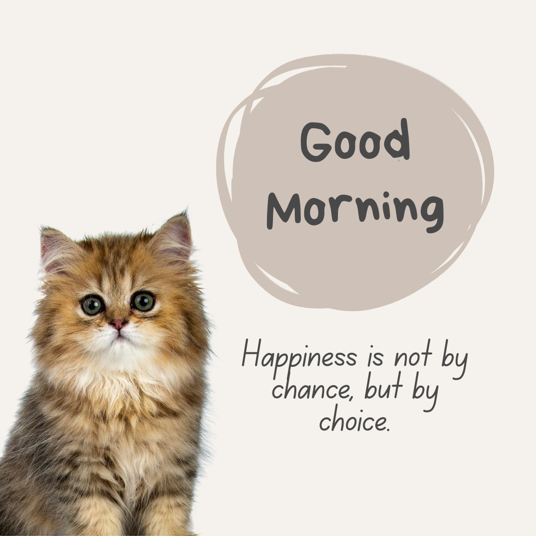 Good morning cat image featuring an adorable fluffy Persian kitten with large expressive eyes next to a speech bubble saying 'Good Morning. Happiness is not by chance, but by choice.' set against a clean white background.