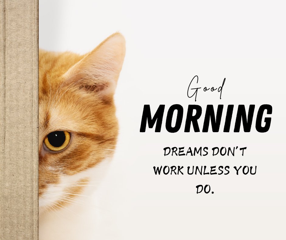 Good morning cat image featuring a close-up of a ginger cat peeking from behind a curtain with one eye visible, next to the motivational quote 'Good Morning - Dreams don’t work unless you do.'