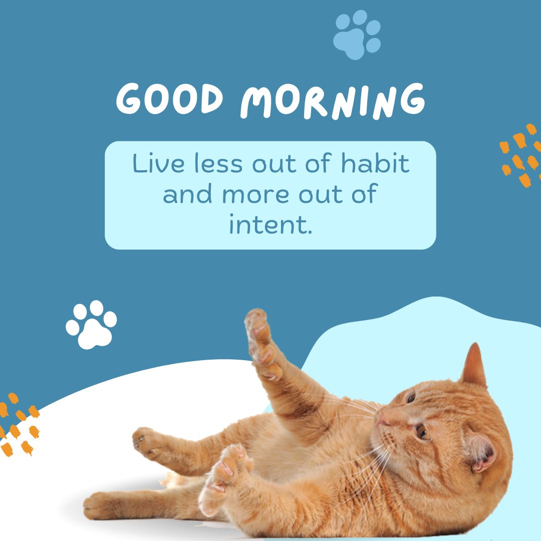 Good morning cat image featuring a playful orange tabby cat rolling on its back, with inspirational text 'Live less out of habit and more out of intent.' on a soothing blue background with paw print decorations.