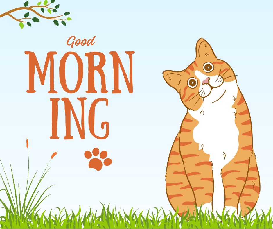 Good morning cat image featuring a playful orange tabby cat looking up with wide eyes, standing on grass under a tree branch with 'Good Morning' text in stylish orange letters, and a paw print decoration on a clear blue sky background.