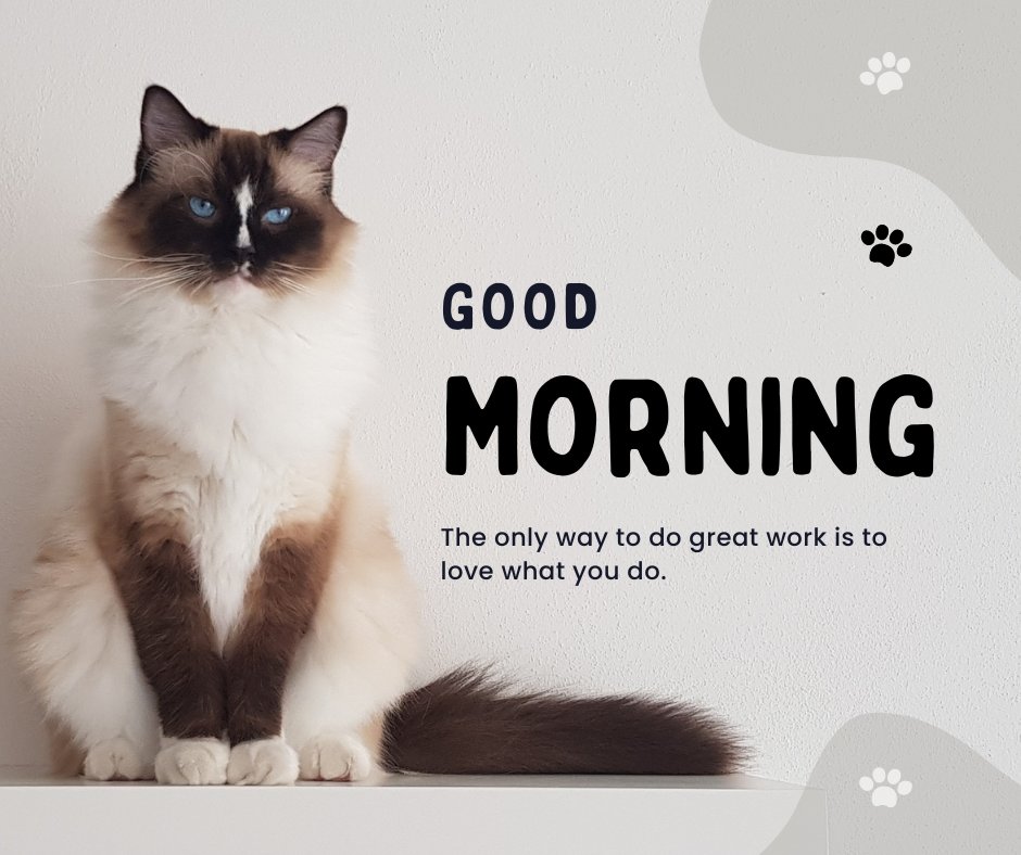 Good morning cat image featuring a majestic Siamese cat with striking blue eyes sitting regally against a clean white wall, accompanied by the motivational quote 'The only way to do great work is to love what you do.'