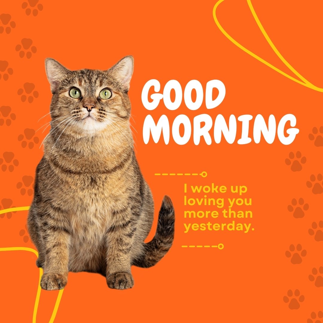 Good morning cat image featuring a striking tabby cat sitting against a vibrant orange background with paw prints and the heartfelt message 'Good Morning – I woke up loving you more than yesterday.