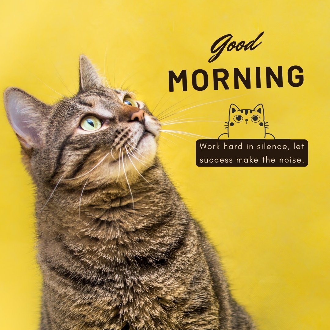 Good morning cat image showing an attentive tabby cat gazing upward against a bright yellow background, with the inspiring quote 'Work hard in silence, let success make the noise.'