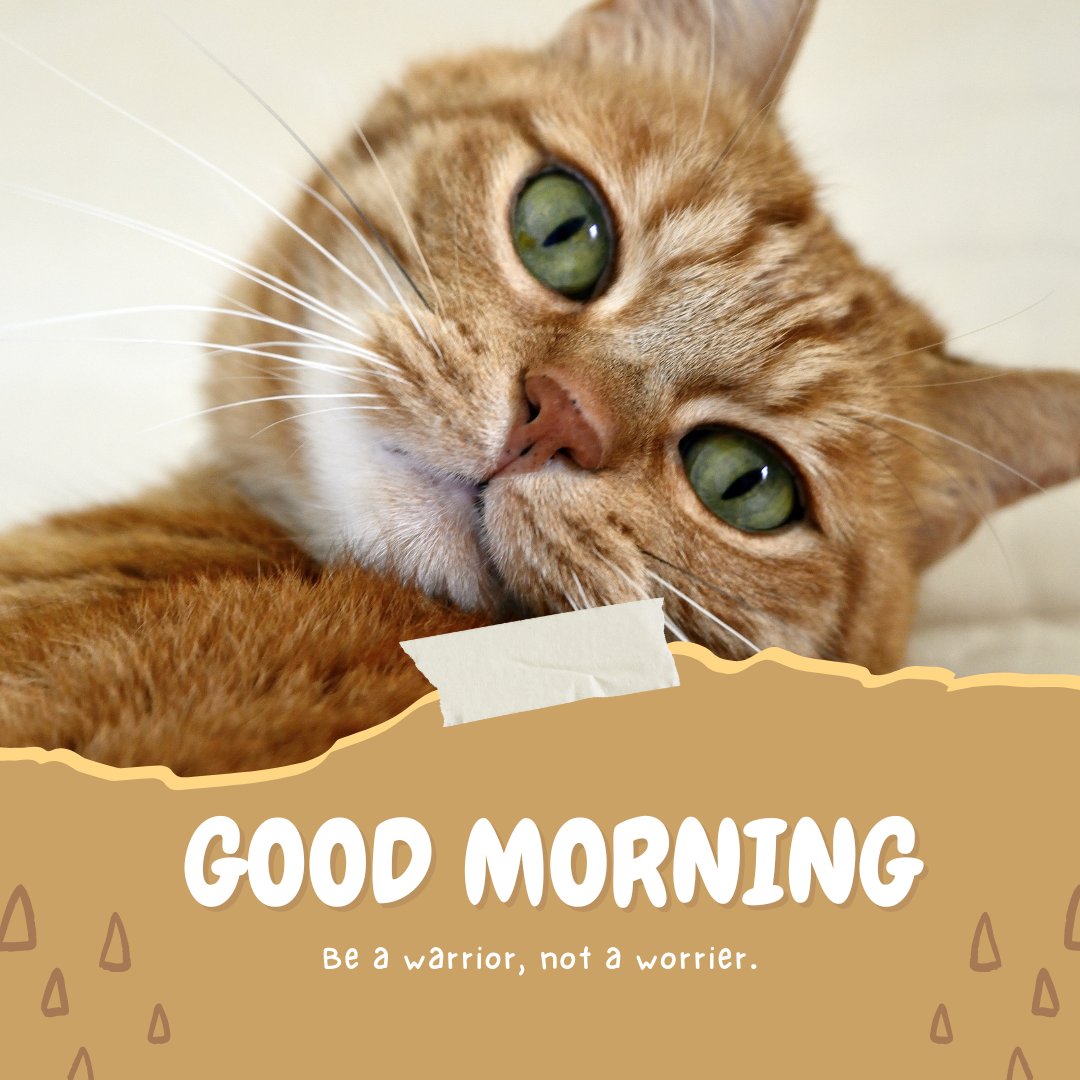 A close-up of a ginger cat with green eyes, looking directly at the camera. The text "Good Morning" is written at the bottom with a background design, followed by the quote "Be a warrior, not a worrier.