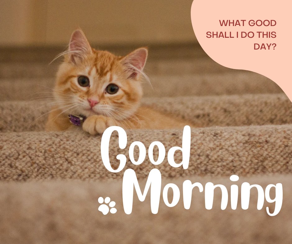 A cute ginger kitten lying on a carpeted staircase, looking up with wide eyes. The text "Good Morning" is written at the bottom, with a paw print graphic. In the top right corner, a speech bubble reads, "What good shall I do this day?" Keywords: good morning cat image.