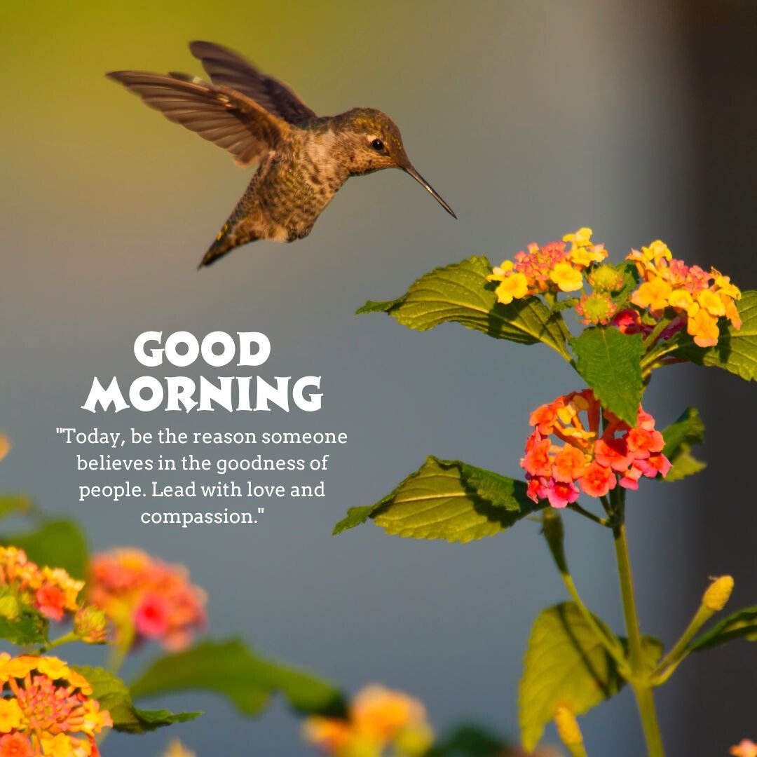 Good Morning Bird Image featuring a hummingbird hovering near vibrant flowers, accompanied by the text 'Good Morning' and an inspirational quote.