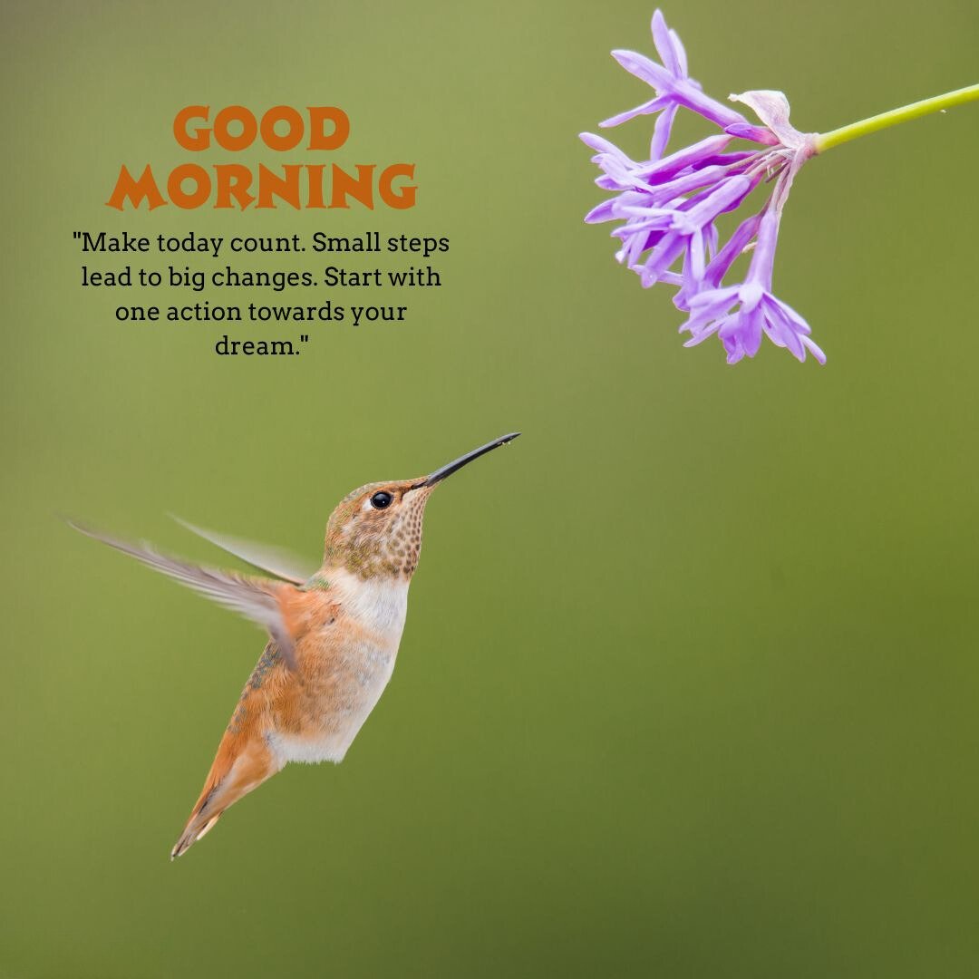 Good Morning Bird Image featuring a hummingbird hovering near a purple flower with the text 'Good Morning' and an inspirational quote.