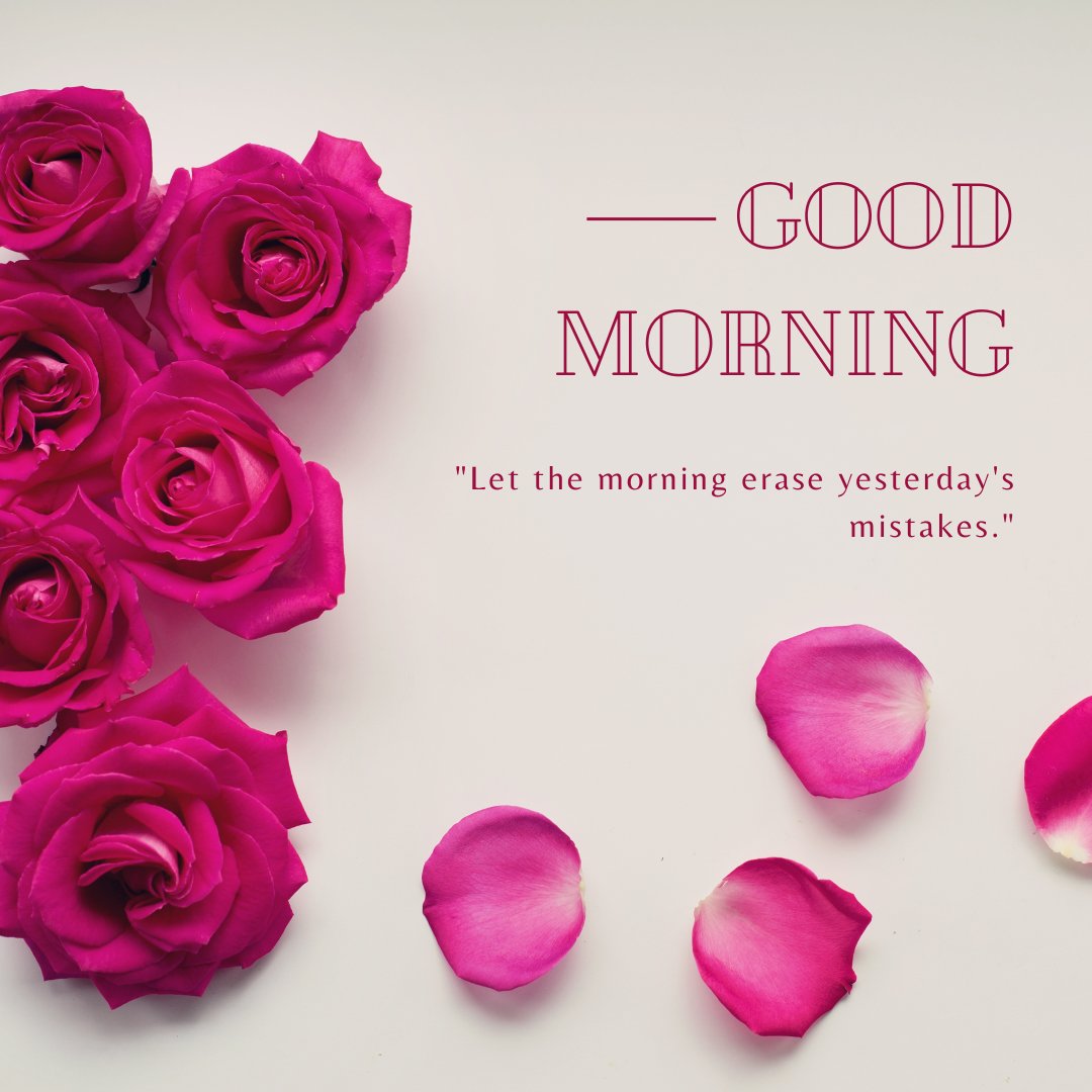 Good morning image with rose flowers featuring vibrant pink roses and scattered petals on a white background, accompanied by a quote 'Let the morning erase yesterday's mistakes.'