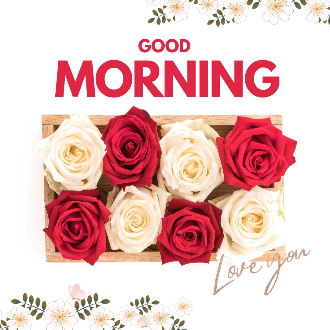 Good Morning Image with Rose Flowers featuring a wooden crate filled with alternating red and white roses, surrounded by floral decorations and a loving message.