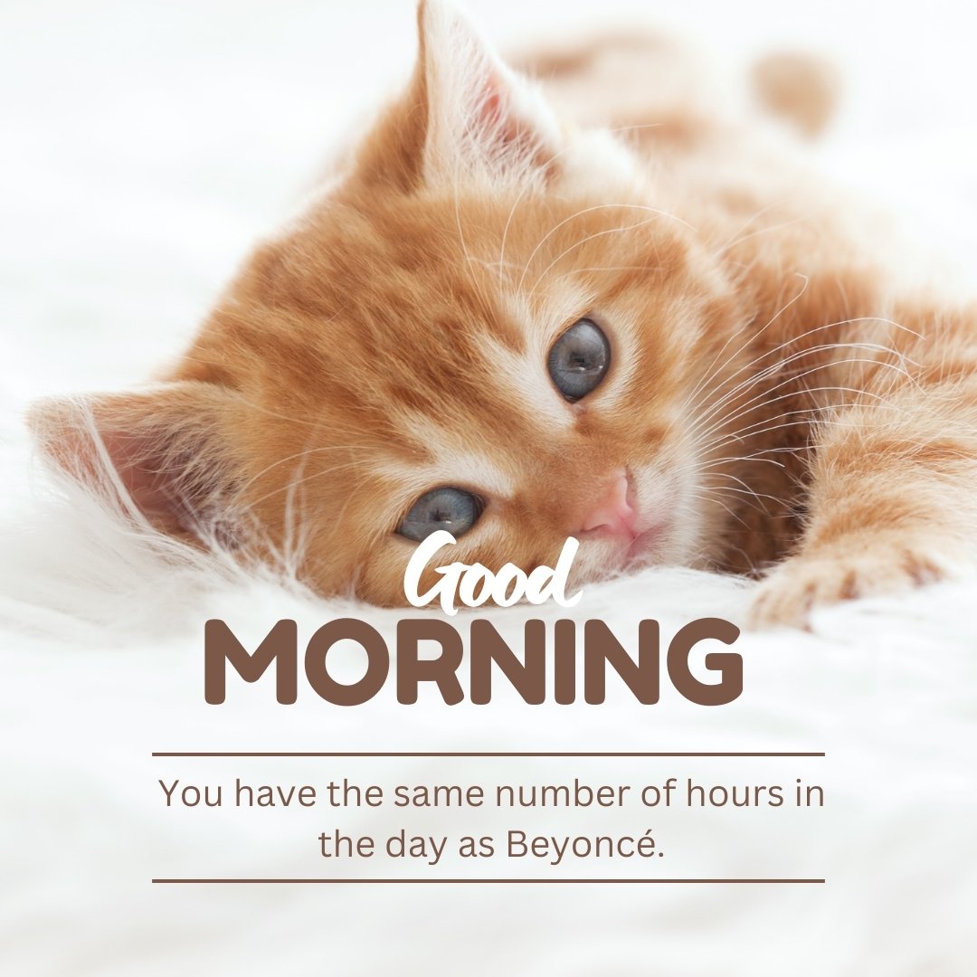 Good morning cat image featuring an orange kitten lying down on a white fluffy surface, looking directly at the camera. The text "Good Morning" is written below, along with the quote "You have the same number of hours in the day as Beyoncé."