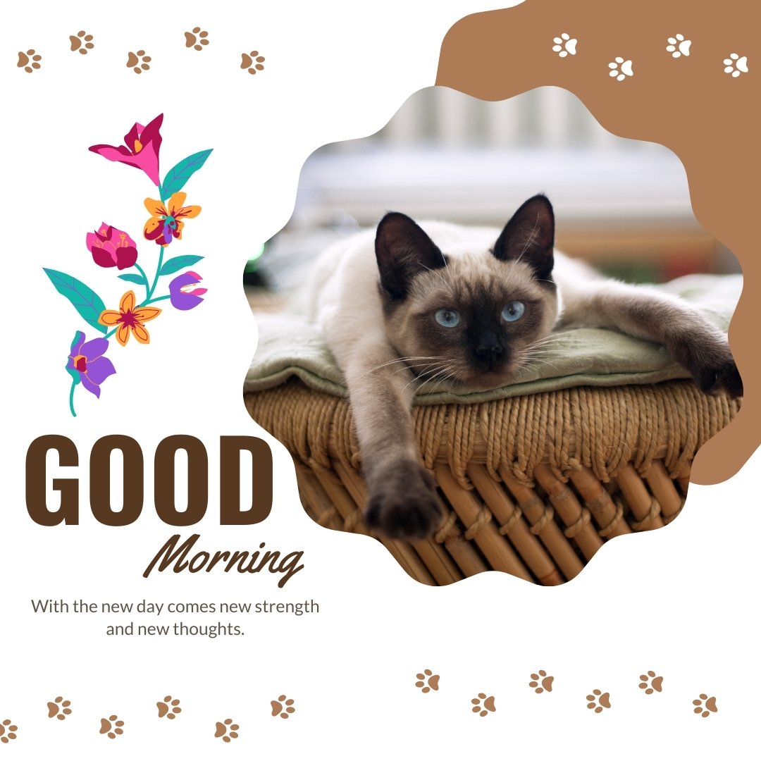 Good morning cat image featuring a Siamese cat with blue eyes lounging on a wicker chair with a cushion. The background has floral decorations and paw prints, with the text "Good Morning" and the quote "With the new day comes new strength and new thoughts."